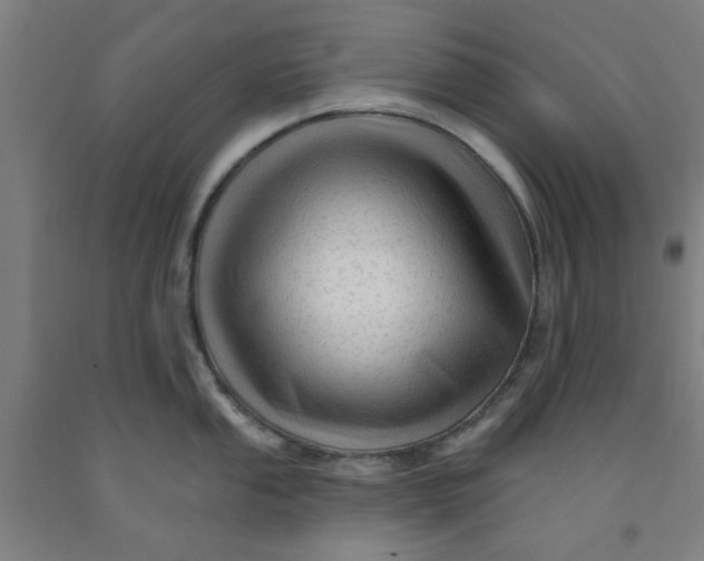 X0000091951053200709271322