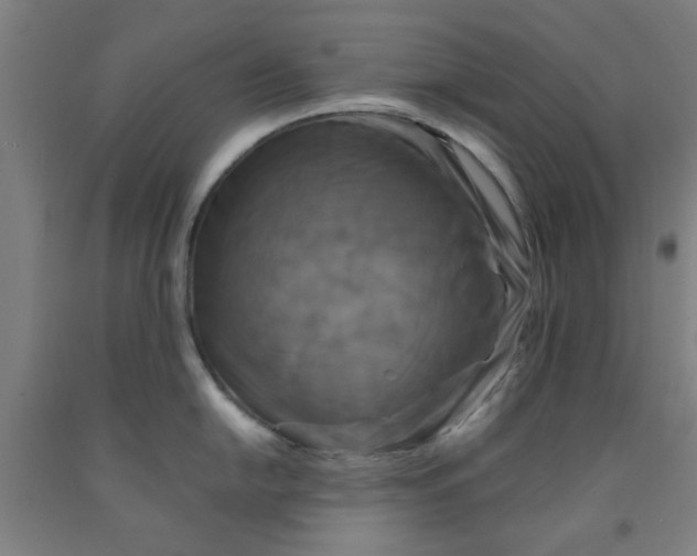 X0000091951054200709271322