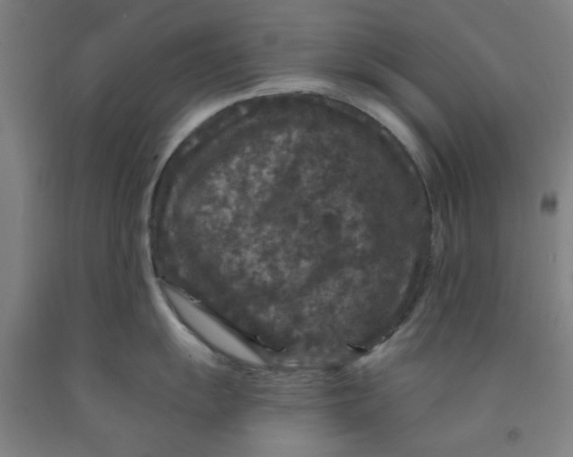 X0000091951055200709271322