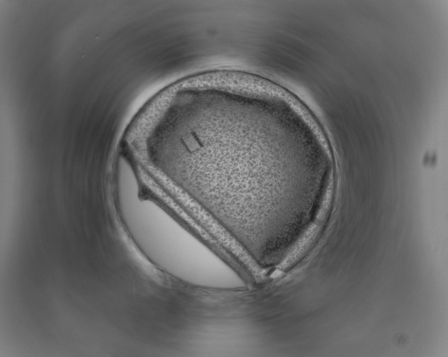 X0000091951056200709271322