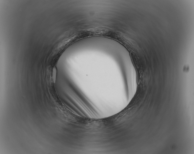 X0000091951058200709271321