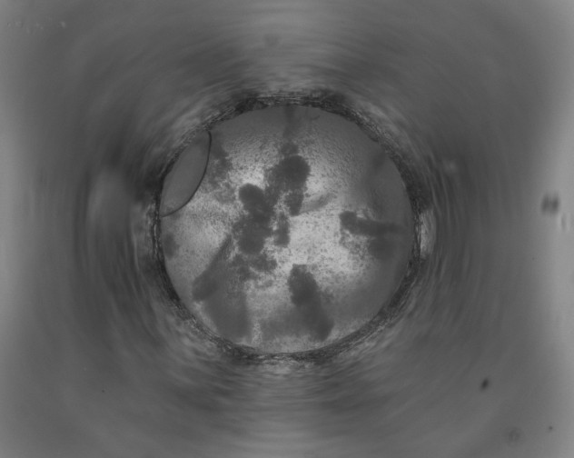 X0000091951059200709271321