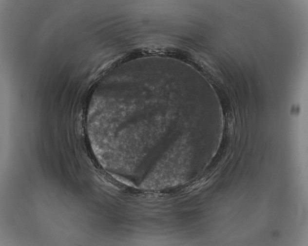 X0000091951060200709271321