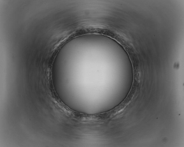 X0000091951061200709271321