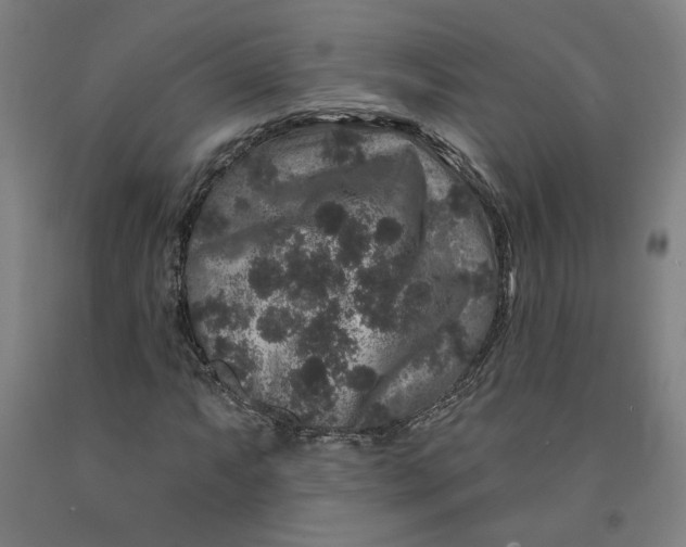 X0000091951063200709271321