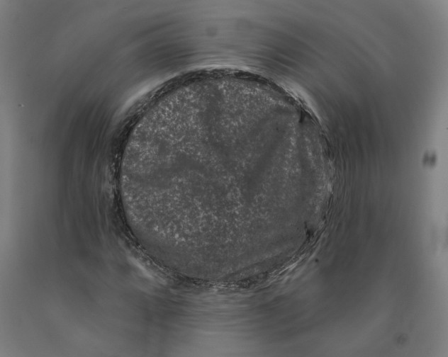 X0000091951064200709271321