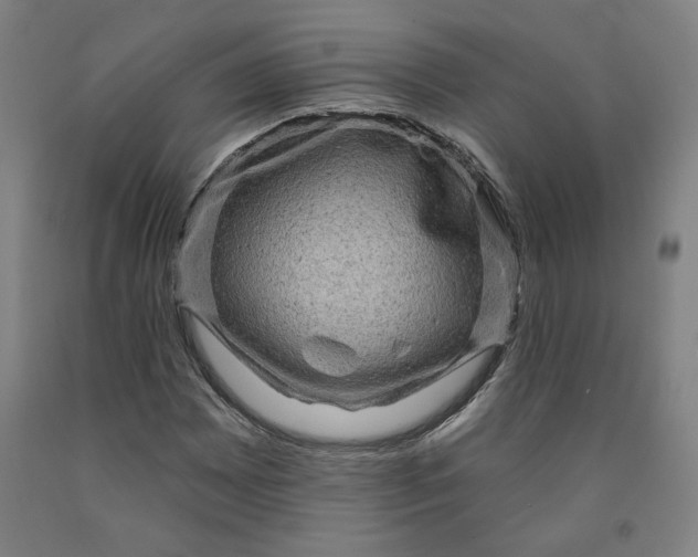 X0000091951065200709271321