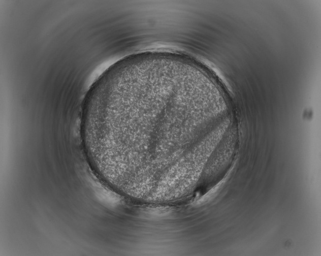 X0000091951066200709271321