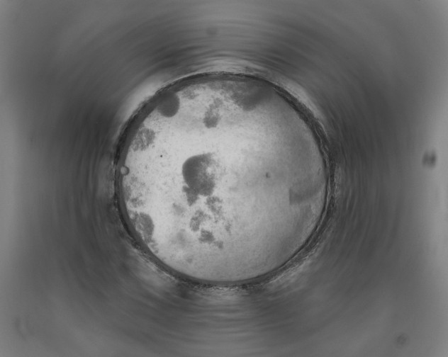 X0000091951067200709271321