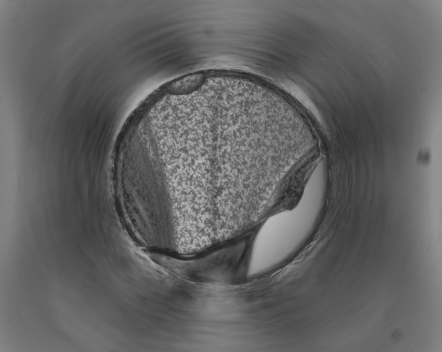 X0000091951068200709271321