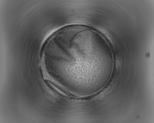 X0000091951069200709271321