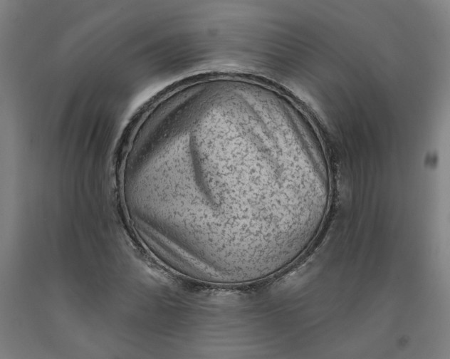 X0000091951070200709271321