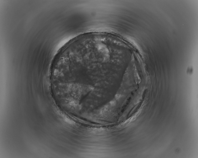 X0000091951071200709271321