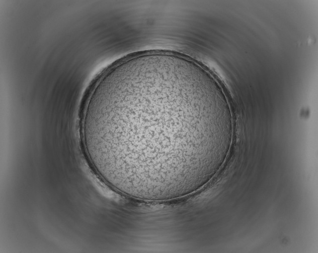 X0000091951072200709271321