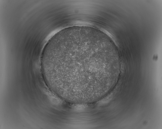 X0000091951074200709271321