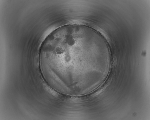 X0000091951075200709271321