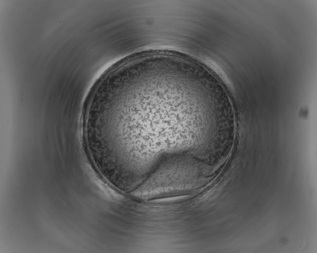 X0000091951076200709271321