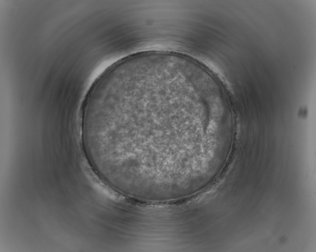 X0000091951078200709271321