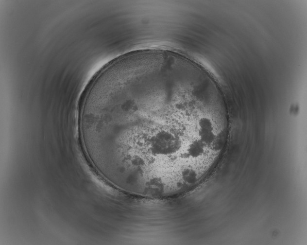 X0000091951079200709271321