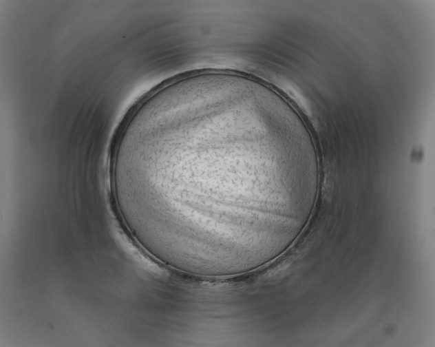 X0000091951080200709271321