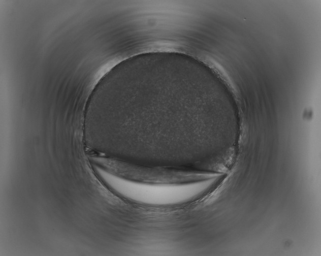 X0000091951081200709271321