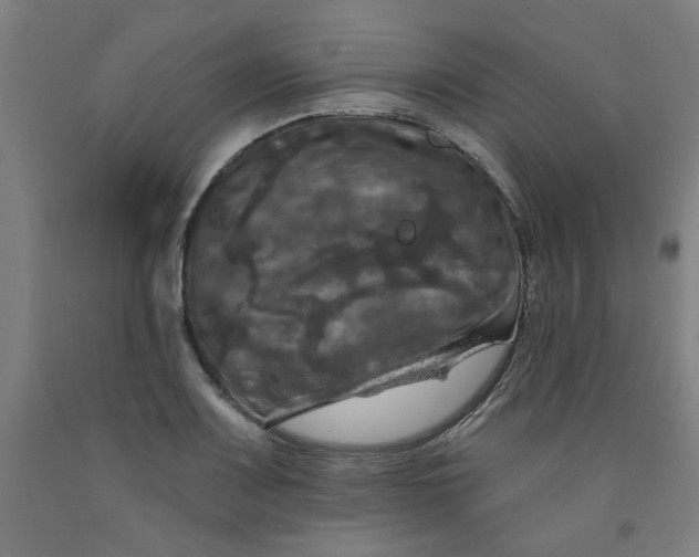 X0000091951083200709271321