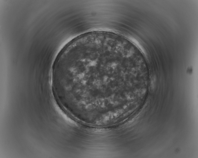 X0000091951084200709271321