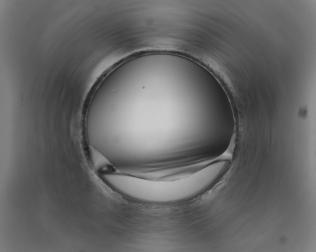 X0000091951085200709271321