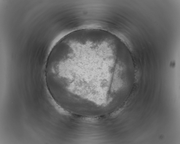 X0000091951086200709271321