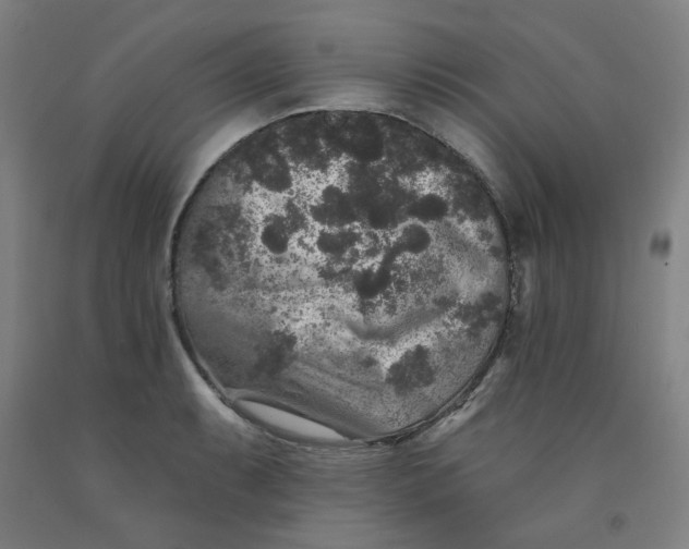 X0000091951087200709271321