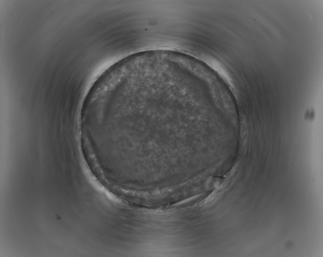 X0000091951088200709271321