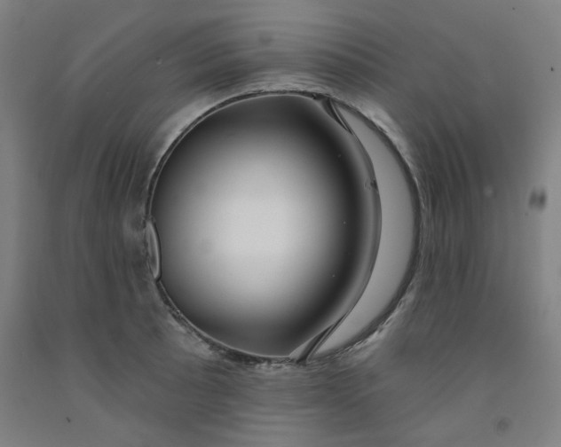 X0000091951089200709271321