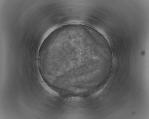 X0000091951090200709271321