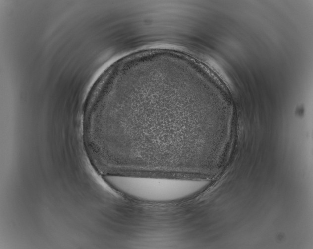 X0000091951092200709271321