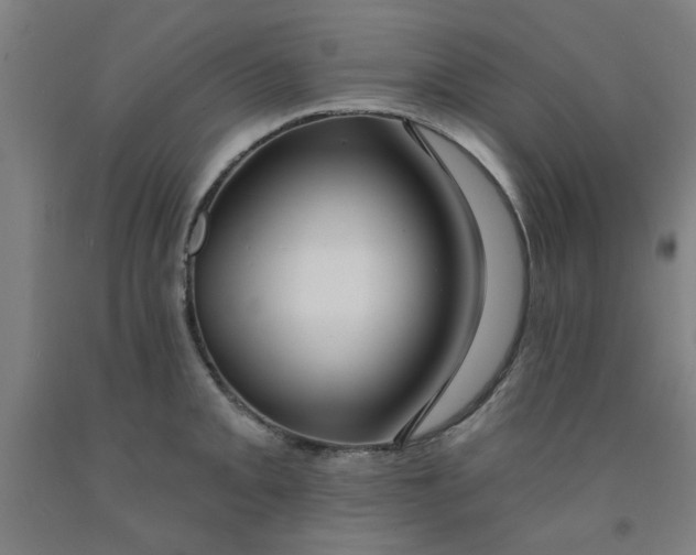 X0000091951093200709271321