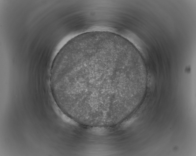 X0000091951094200709271321