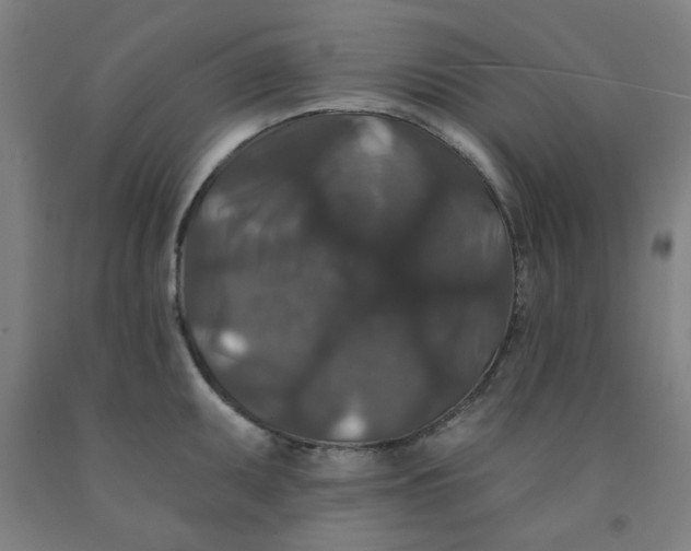 X0000091951095200709271321