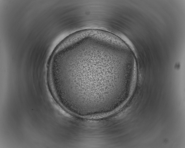 X0000091951096200709271321