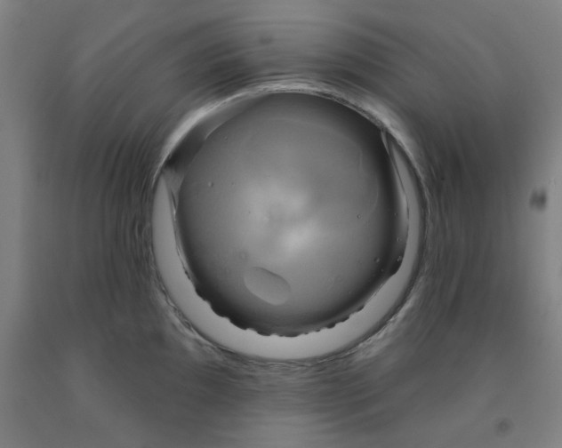 X0000091951097200709271321