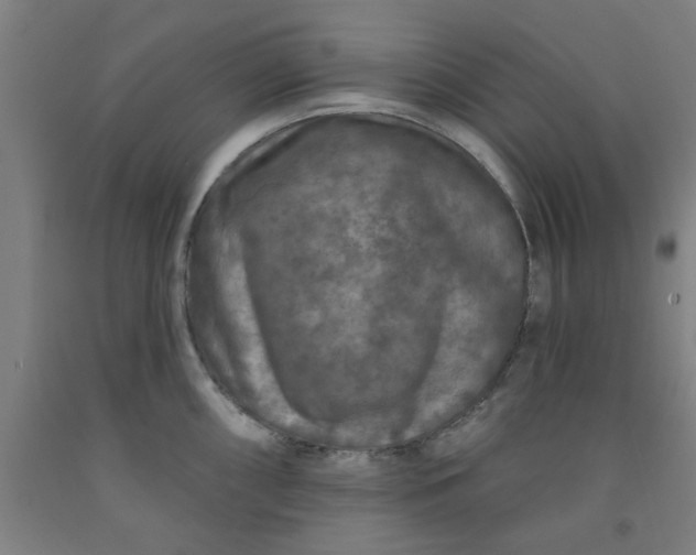 X0000091951098200709271321