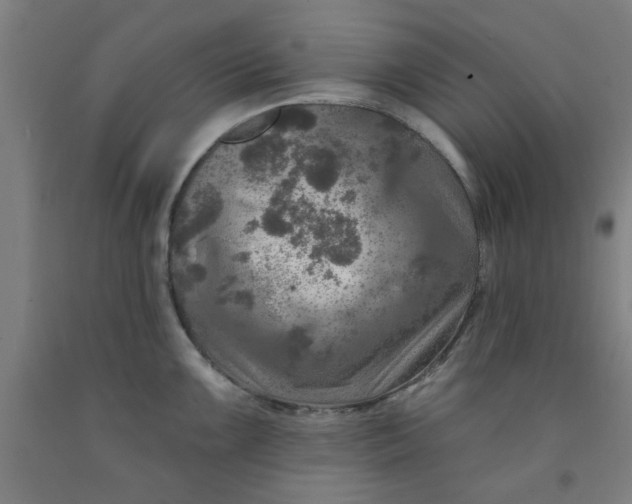 X0000091951099200709271321