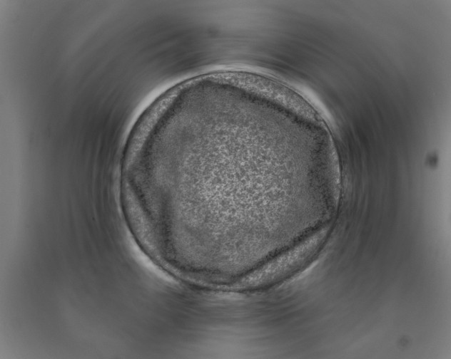 X0000091951100200709271321