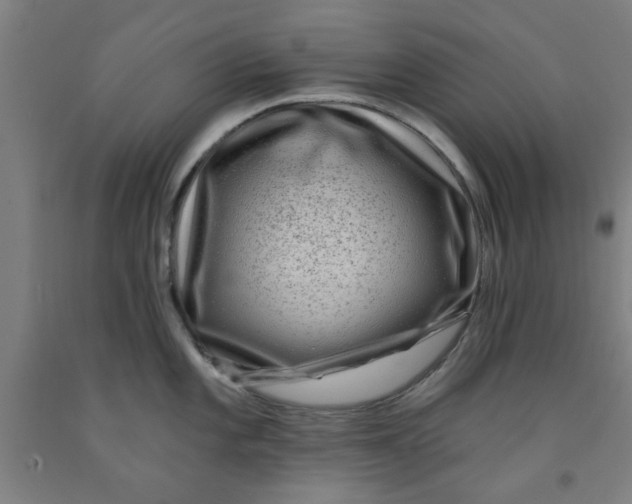 X0000091951101200709271321