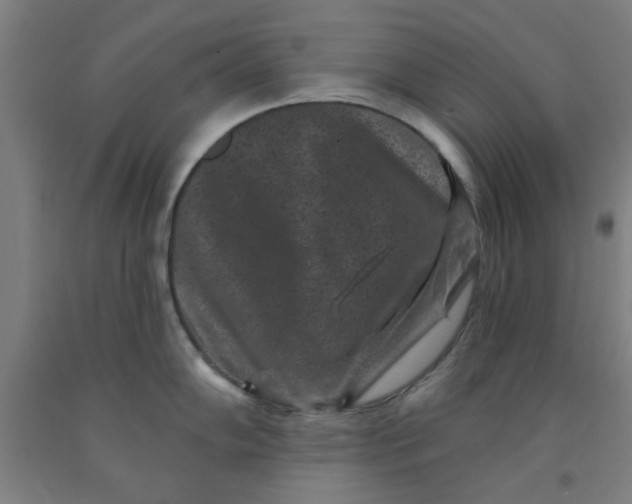 X0000091951102200709271321