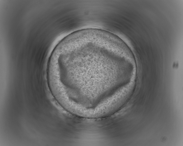 X0000091951104200709271321