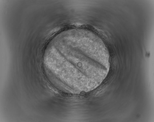 X0000091951105200709271320