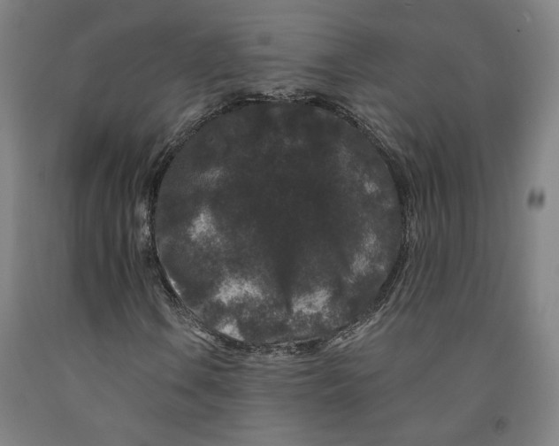 X0000091951106200709271320