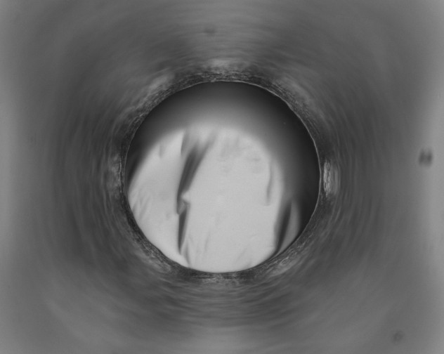 X0000091951107200709271320