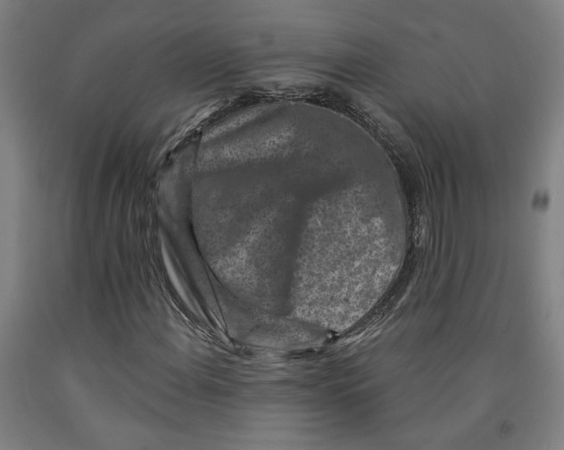 X0000091951108200709271320