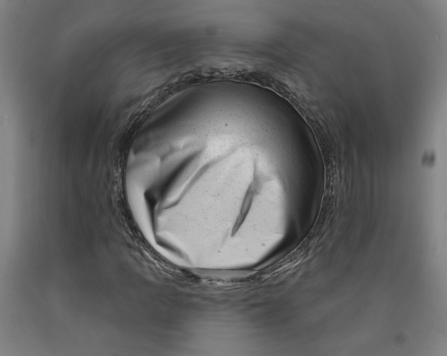 X0000091951109200709271320